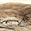 고향에봄 이미지