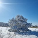 겨울여행 이미지