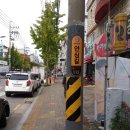 전봇대 안산인터넷뉴스
