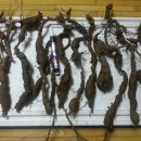 봉곡동142 이미지