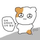 미소복어 이미지