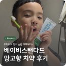 스탠다드치과 | 6살 아이 고불소 치약 베이비스탠다드 망고향 후기