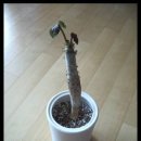 산호유통 이미지