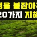 [쉬어가기]인생을 붙잡아 주는 20가지 지혜 이미지