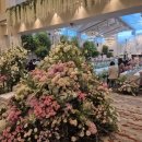 로얄웨딩홀화장실 이미지