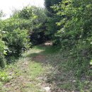 성왕산등산로 이미지