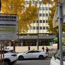 드림부동산중개법인주식회사 | [하나증권 하나드림 서포터즈 3기] 2DAY