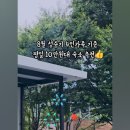 단양펜션소백스테이 네이버블로그