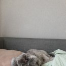 해봉유치원 이미지