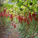 백전농장 이미지