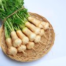 만리장벌 이미지