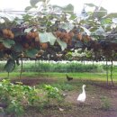 우리농원 이미지