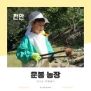 통화농장1 이미지