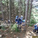 강촌 삼거리 이미지