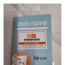 아이러브독 강아지분양 부천점 이미지