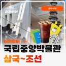 한국사수업 | 초등교사자격 취득 위한 국립중앙박물관 한국사 도슨트 수업 후기