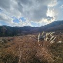 광재농장 이미지