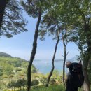 소야리 버스정류장 이미지