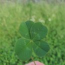 부성태권도장 이미지