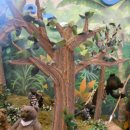 인형나라 이미지