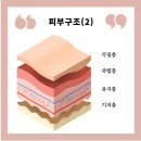 옥포피부관리실