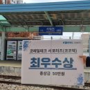 국보산삼오리 이미지