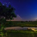 반딧불 프리미엄 이미지