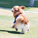 소소취향