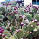 호텔자유2 이미지