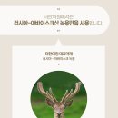 대자연한의원 네이버블로그