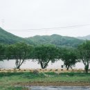 남종면 산수로 2756-19 | 퇴촌카페 혜지네집_경기광주 드라이브
