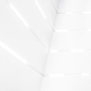 화이트펫# 이미지