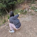 소쿠리섬1 | 부산 근교 진해 사슴이 사는 소쿠리섬 마요네즈 꽃게구이 먹으러 1박 첫 캠핑 후기 - 승선가격 운행시간표