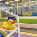 (주)79수육국밥 이미지