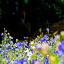 덕두원길 이미지