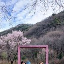 아사모야유회 이미지