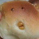 혜정목장 이미지