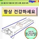 25년 만에 찾아낸 골반 문제 이미지