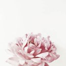 아름다운디자인 이미지
