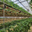 장희농장 이미지