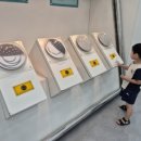 알쏭달쏭 과학교실 이미지