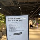 알파타워 | 커피와 책, LP가 공존하는 과천 펄시커피&amp;알파룸 여유로운 오후🎶