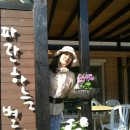 그리고 봄 펜션 민박 이미지