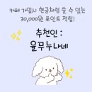 예랑유치원 | 대구 라테라스 웨딩 27년 예약 상담 후기 -견적공유