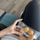 바이퐁 | 후랑스파리브이호그