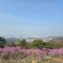 가현산 헬기장 이미지