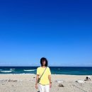 바다로일이오 이미지