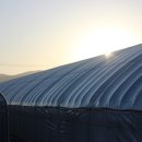 태양팜스 이미지