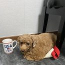 나투어뮤직 이미지