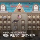민영유치원 | 명동 고양이카페 루프캣미 주말 아이와 실내 데이트 가볼만한 곳
